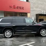 Hongqi 红旗金葵花国耀 2024 из Китая