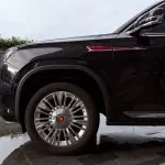 Hongqi 红旗金葵花国耀 2024 из Китая