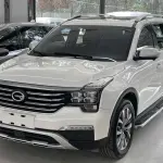 GAC Motor Trumpchi GS8 2017 из Китая