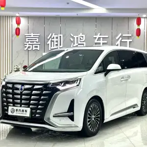Denza Denza D9 2023 из Китая