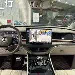 Denza Denza D9 2023 из Китая