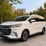 大通 G50 2020 из Китая