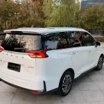 大通 G50 2020 из Китая