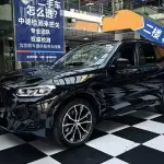 BMW X3 2022 из Китая