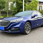 Hongqi Hongqi H5 2020 169 л.с. из Китая