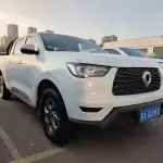 Great Wall Pao 2023 из Китая
