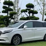 Buick GL8 2021 из Китая