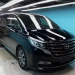 GAC Motor Trumpchi M8 2019 из Китая