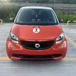 smart Smart Forfour 2018 из Китая