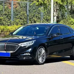 Hongqi Hongqi H5 2021 из Китая