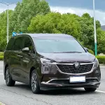 Buick GL8 2020 из Китая