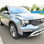 GAC Motor Trumpchi GS8 2017 из Китая
