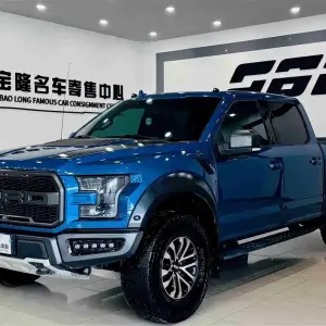 Ford F-150 Raptor 2020 381 л.с. — лот 56173899 из Китая