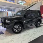 Tank Tank 300 2022 из Китая