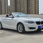 BMW 2 Series (Import) 2018 из Китая