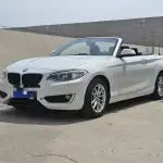 BMW 2 Series (Import) 2018 из Китая