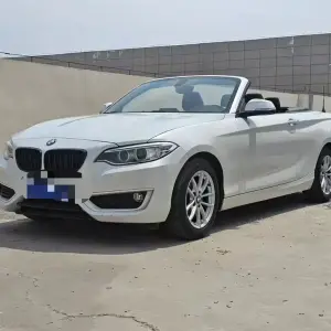BMW 2 Series (Import) 2018 из Китая