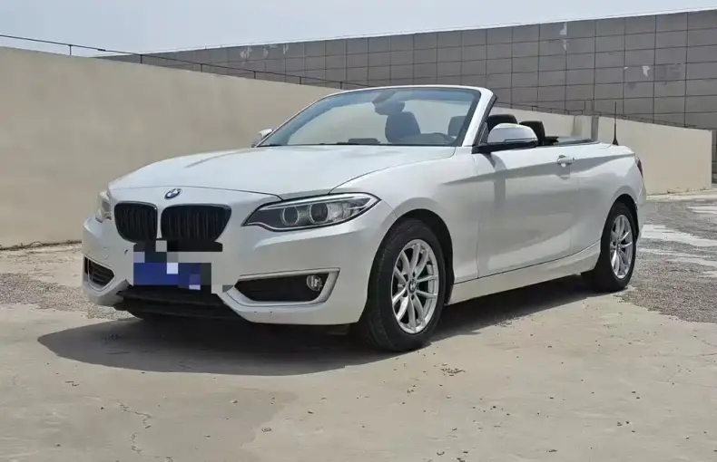 BMW 2 Series (Import) 2018 из Китая