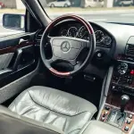 Mercedes-Benz S-Class 1994 из Китая