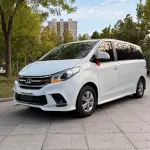 大通 G10 2018 150 л.с. из Китая
