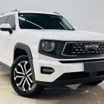 Haval 哈弗大狗 PLUS 2023 из Китая