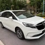 Buick GL8 2022 из Китая