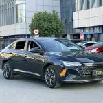 Aeolus MAX 2022 из Китая