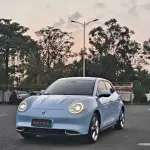 Ora Ora Good Cat 2022 из Китая