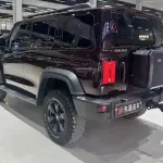 Tank Tank 300 2023 из Китая