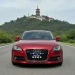 Audi TT 2009 из Китая
