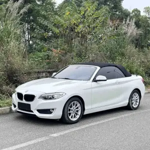 BMW 2 Series (Import) 2016 136 л.с. из Китая