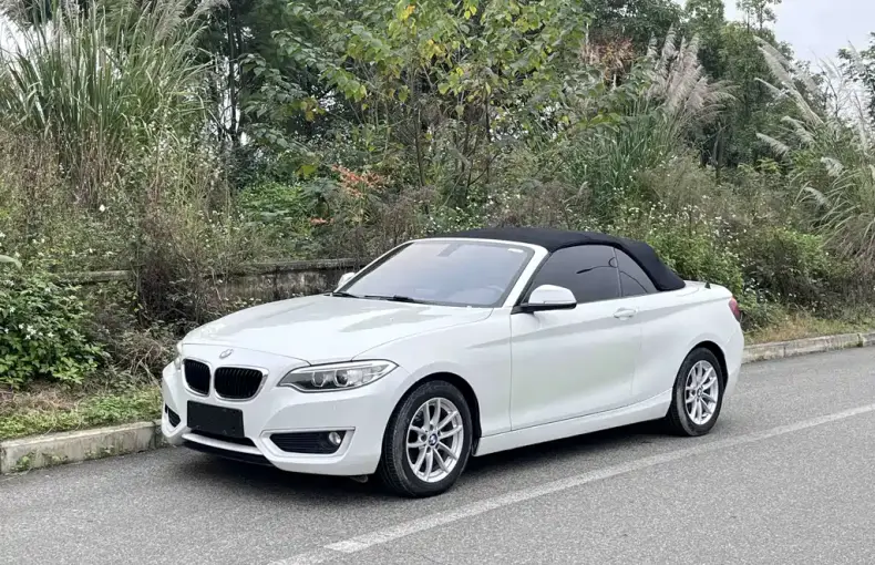 BMW 2 Series (Import) 2016 из Китая