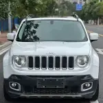 Jeep Renegade 2018 из Китая