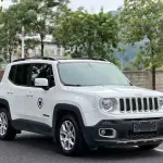 Jeep Renegade 2018 из Китая