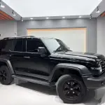 Tank Tank 300 2024 227 л.с. из Китая