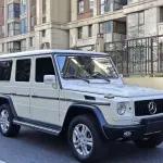 Mercedes-Benz G-Class 2012 из Китая