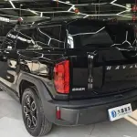 Haval Cool Dog 2023 из Китая