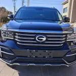 GAC Motor Trumpchi GS8 2020 из Китая