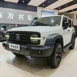 Tank Tank 300 2022 из Китая