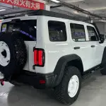 Tank Tank 300 2024 из Китая