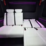 Hongqi 红旗金葵花国悦 из Китая