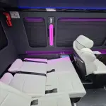 Hongqi 红旗金葵花国悦 из Китая
