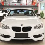 BMW 2 Series (Import) 2017 из Китая