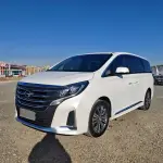 GAC Motor Trumpchi M8 2020 252 л.с. — лот 56929246 из Китая