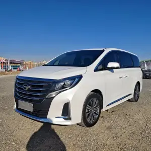 GAC Motor Trumpchi M8 2020 252 л.с. — лот 56929246 из Китая