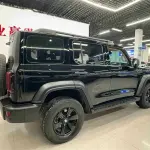 Tank Tank 300 2021 из Китая