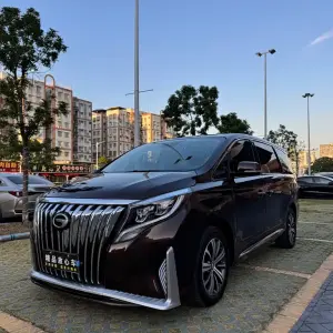 GAC Motor Trumpchi M8 2019 из Китая