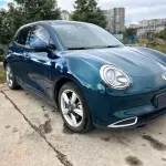 Ora Ora Good Cat 2023 из Китая