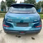 Ora Ora Good Cat 2023 из Китая