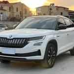 Skoda Kodiaq GT 2023 из Китая